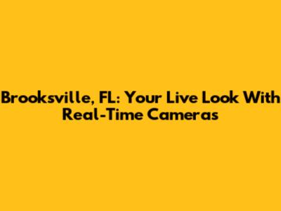 Brooksville, FL: Your Live Look With Real-Time Cameras