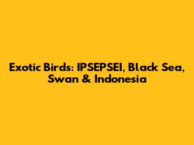 Exotic Birds: IPSEPSEI, Black Sea, Swan & Indonesia