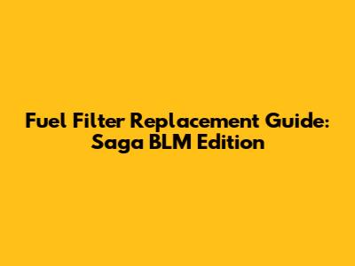 Fuel Filter Replacement Guide: Saga BLM Edition