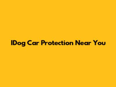 IDog Car Protection Near You