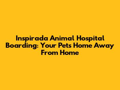 Inspirada Animal Hospital Boarding: Your Pet's Home Away From Home