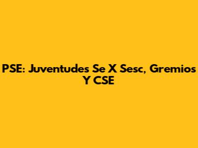 PSE: Juventudes Se X Sesc, Gremios Y CSE