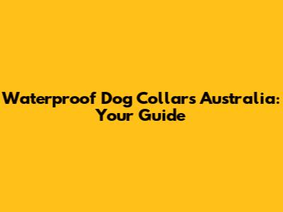 Waterproof Dog Collars Australia: Your Guide
